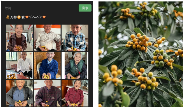 1655971702113599.png image.png