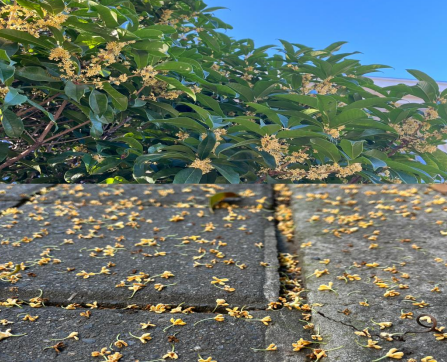 1667457881820268.png image.png